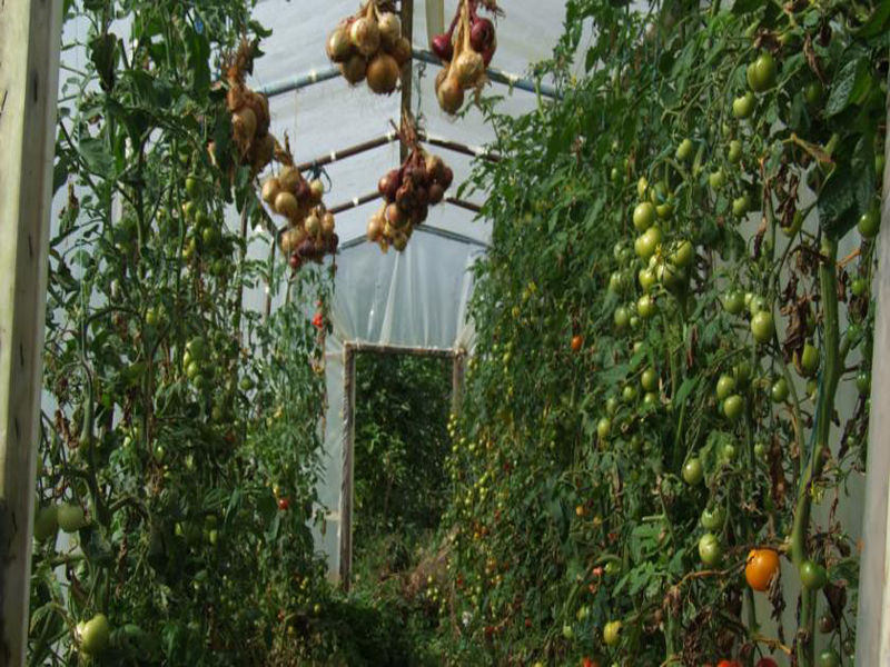 Dawn House B&B Kilmeaden Εξωτερικό φωτογραφία
