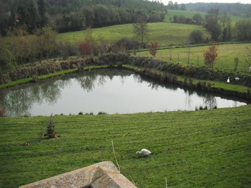 Dawn House B&B Kilmeaden Εξωτερικό φωτογραφία